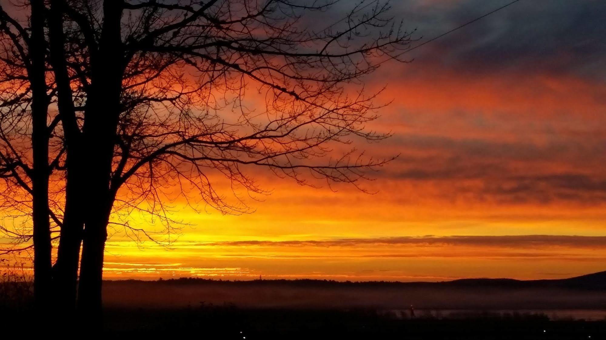 Acadia Sunrise Motel Trenton Exteriér fotografie